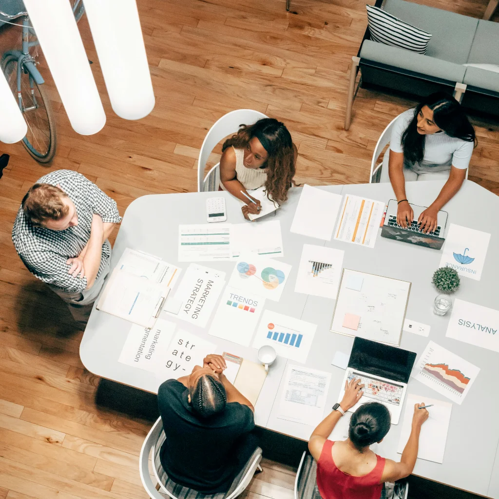 Treasury Refunds  Professional Services